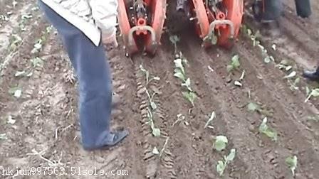 红薯单行移栽机